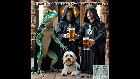 A Monitor, A Maltese and A Mason Walk into a Barr