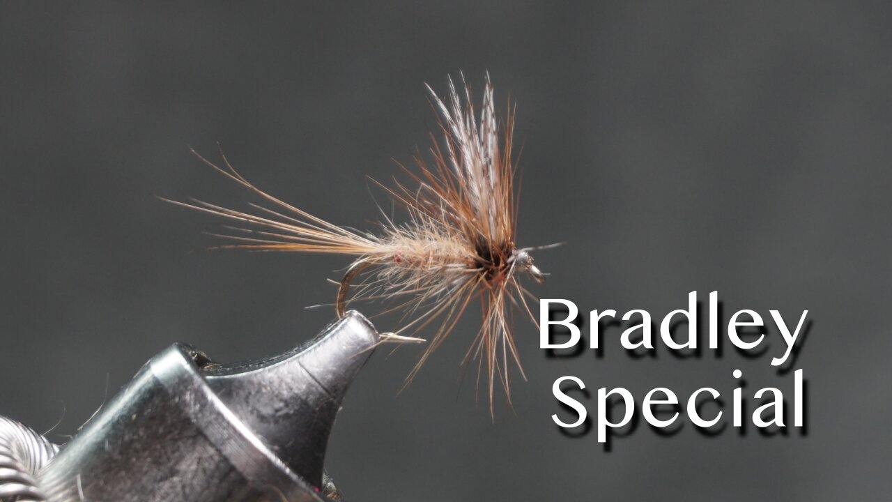 Bradley Special: a Winnie and Walt Dette 1930’s dry fly pattern