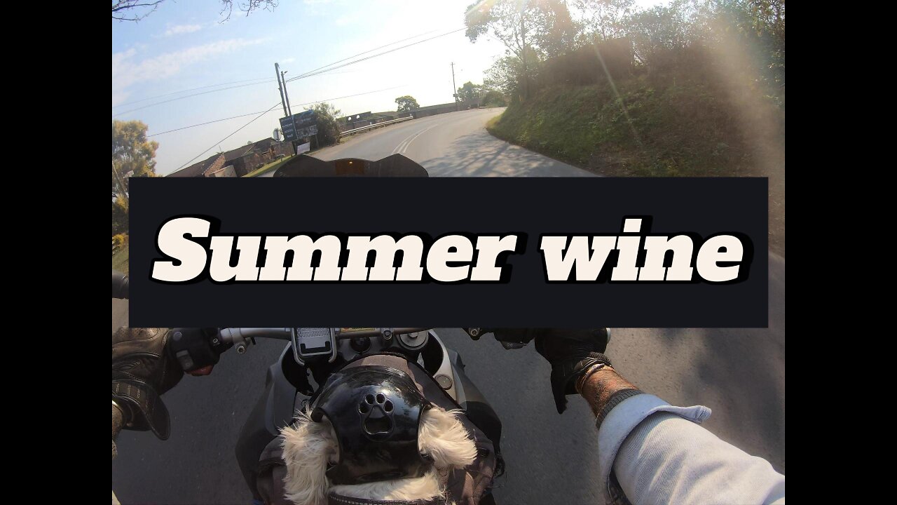 Summer wine