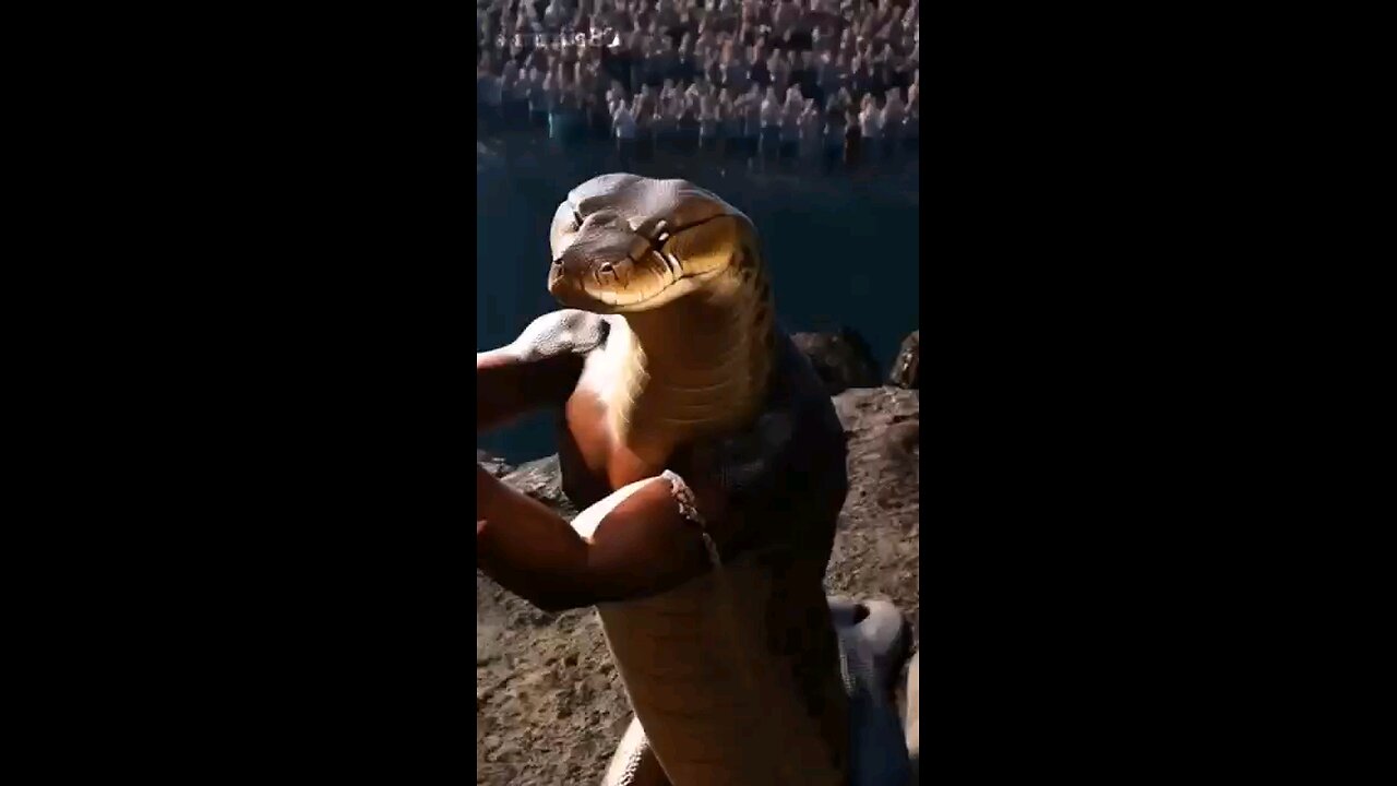 fun animals animation