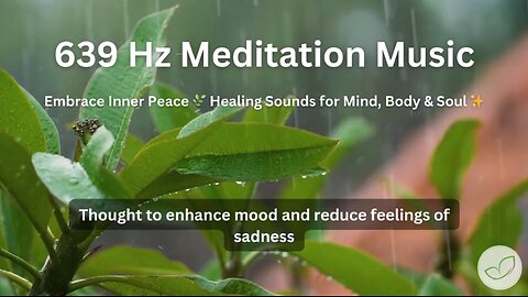 ✨ 639 Hz Meditation Music for Relaxation, Stress & Anxiety Relief 🎶 (Harmony & Calm) #stressrelief