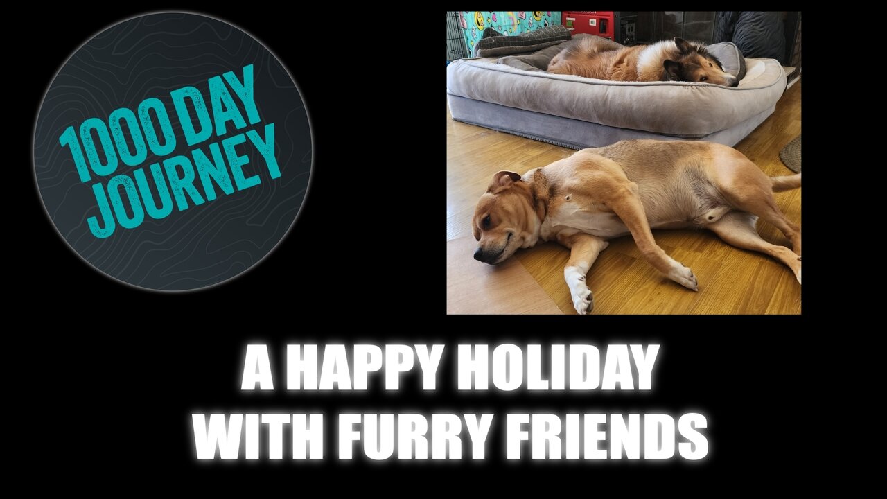 1000 Day Journey 0717 A Happy Holiday With Furry Friends