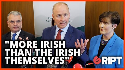 Martin defends view that Irish were never "homogenous"
