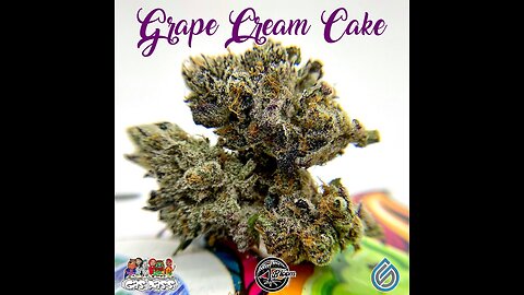 S13 Episode 3 Grape Cream Cake Strain Review