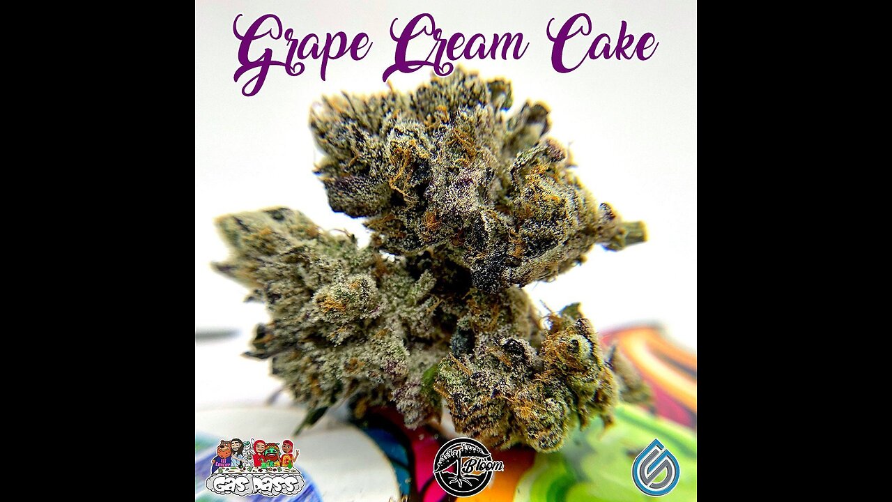 S13 Episode 3 Grape Cream Cake Strain Review