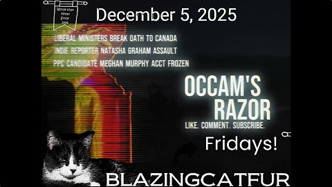 Blazing Cat Fur Fridays - December 5, 2025