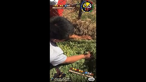 💯🫵🏾😂👍🏾 DONT BE LIKE THIS GUY 😂😂😂😂😭