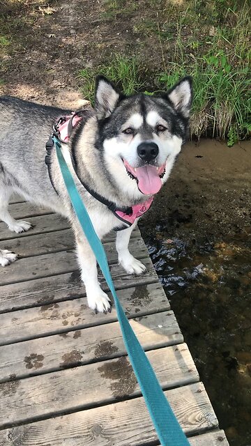 Sunday June 29, He will live with them