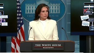 DNI Gabbard Details How Obama Admin Perpetrated Russia Hoax
