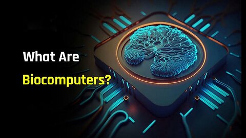 What is a Biological Computer