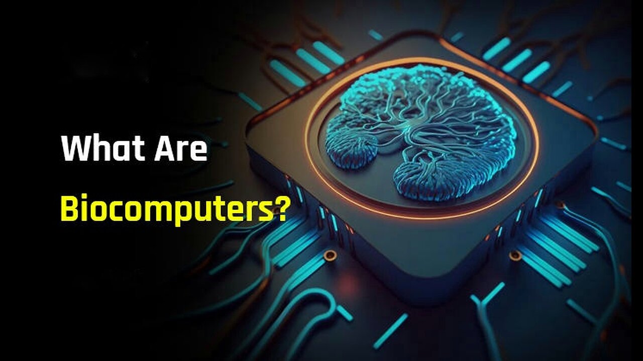 What is a Biological Computer