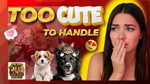 "Amazing Animal"Try Not to Smile 😍 | Reacting to the Most Heartwarming Animal Moments 🐾💕"