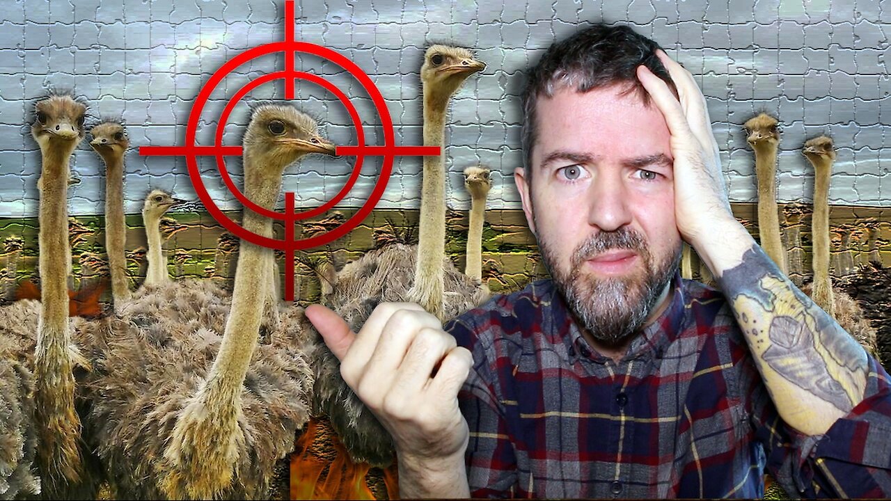 The CULL Is Complete The Ostriches Are GONE The CFIA SHOT & KILLED THEM All In The Dead Of The Night