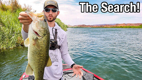 Fishing a LOCAL DERBY for Aggressive Bass (Tournament Fever)