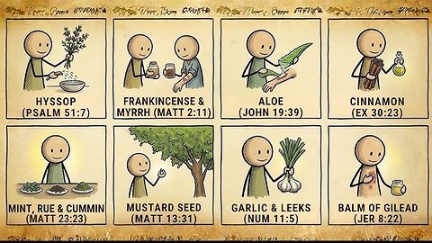 Every Medicinal Herb in the Bible That Actually Heals Explained