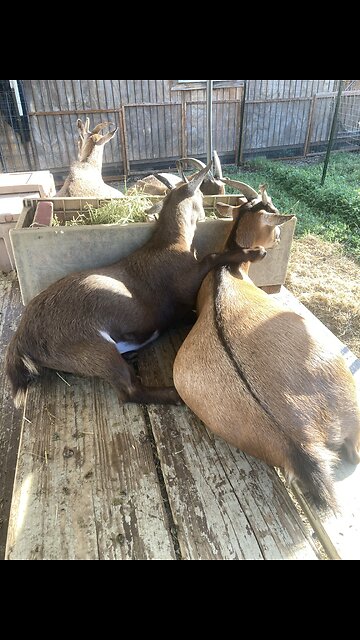 To all who care about your community, Thank you!