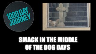 1000 Day Journey 0749 Smack in the Middle of the Dog Days of Summer