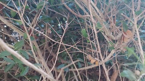 Seek God everyday 🙏