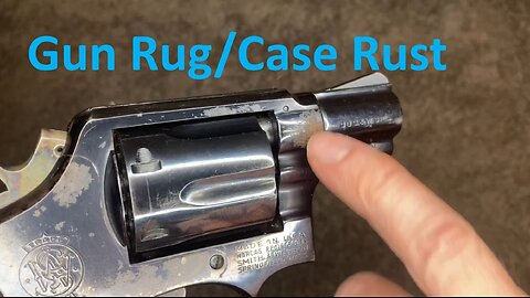 Smith & Wesson Model 10 - Conservation