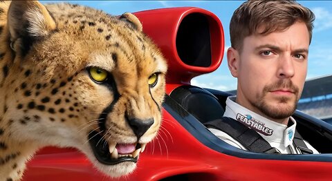 World's Fastest Car Vs Cheetah!