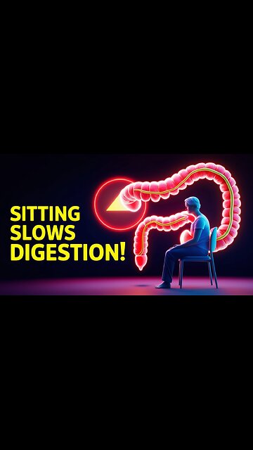 Sitting Too Long Slows Your Digestion! 😳💺 (Gut Health 3D Animation)