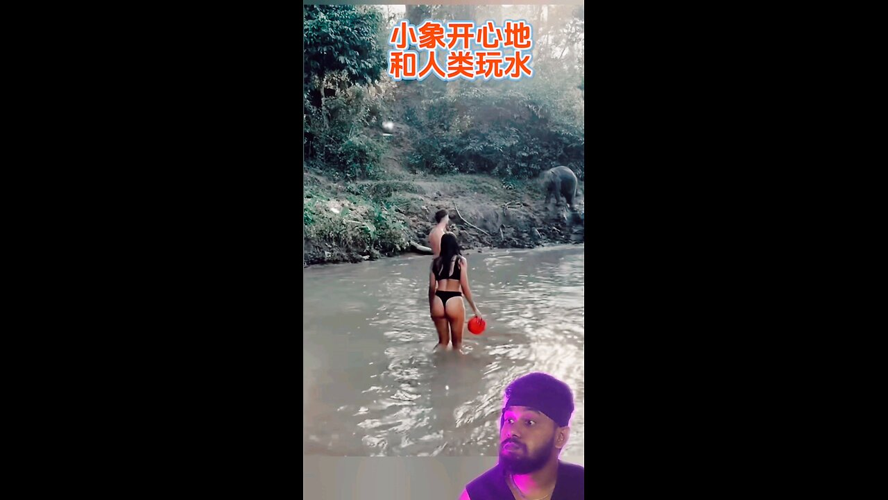 trynottolaugh 26