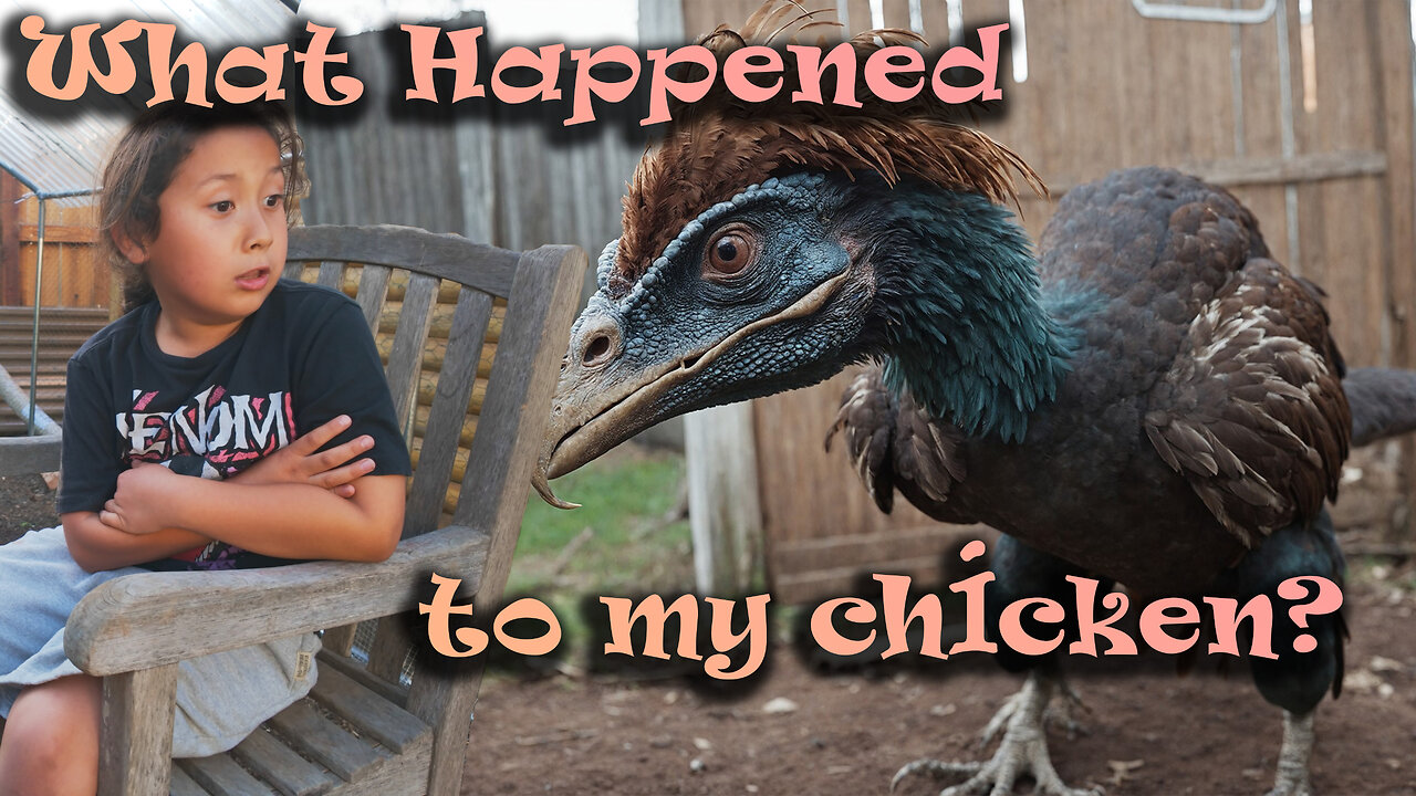 Is my chicken sick?