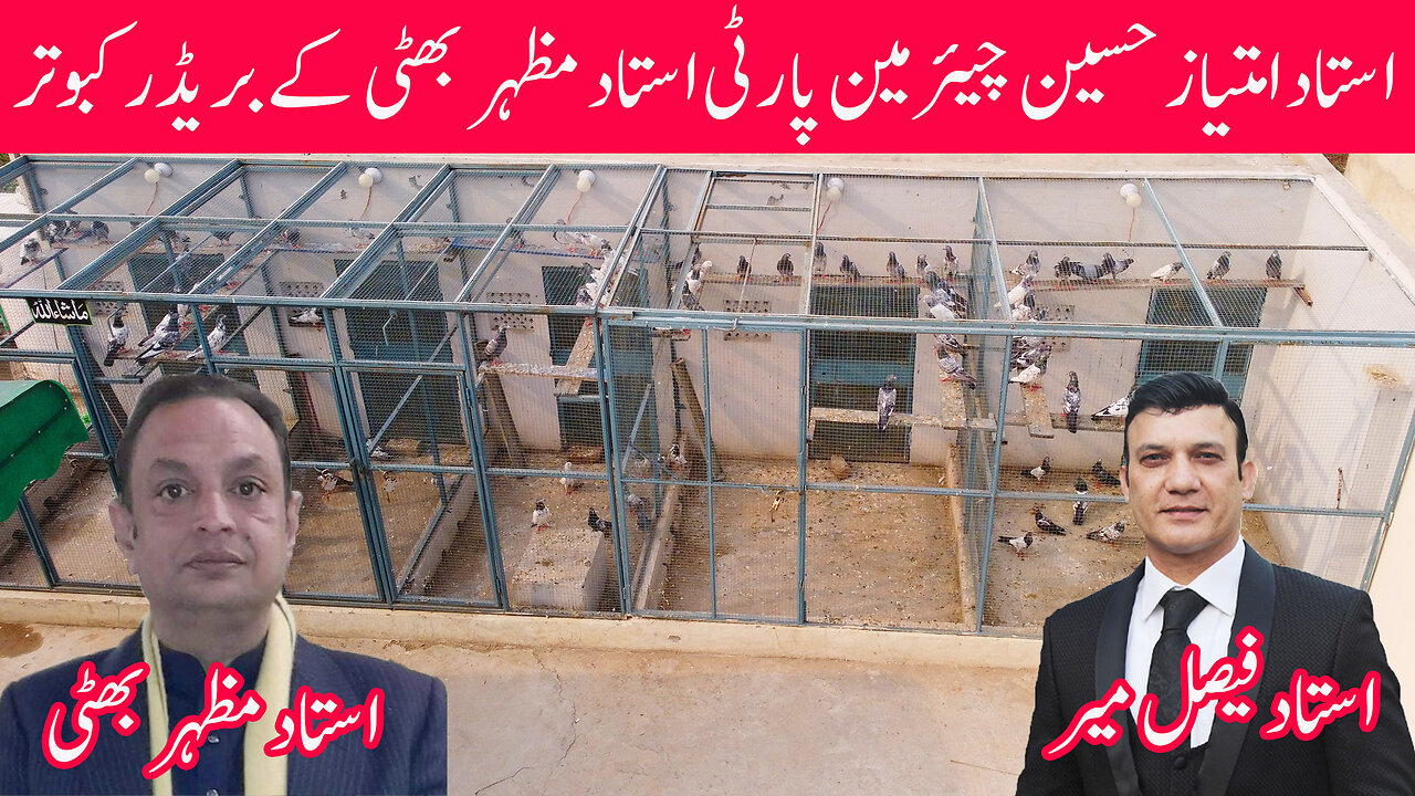Ustad Imtiaz Hussain Chairman Party || Ustad Mazher Bhatti Pigeons || Watch In HD Urdu/Hindi