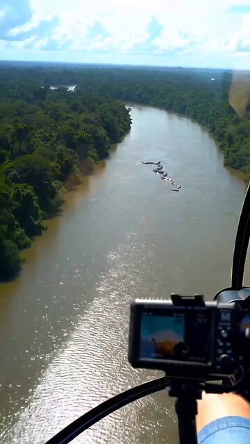 Giant anaconda spotted in river