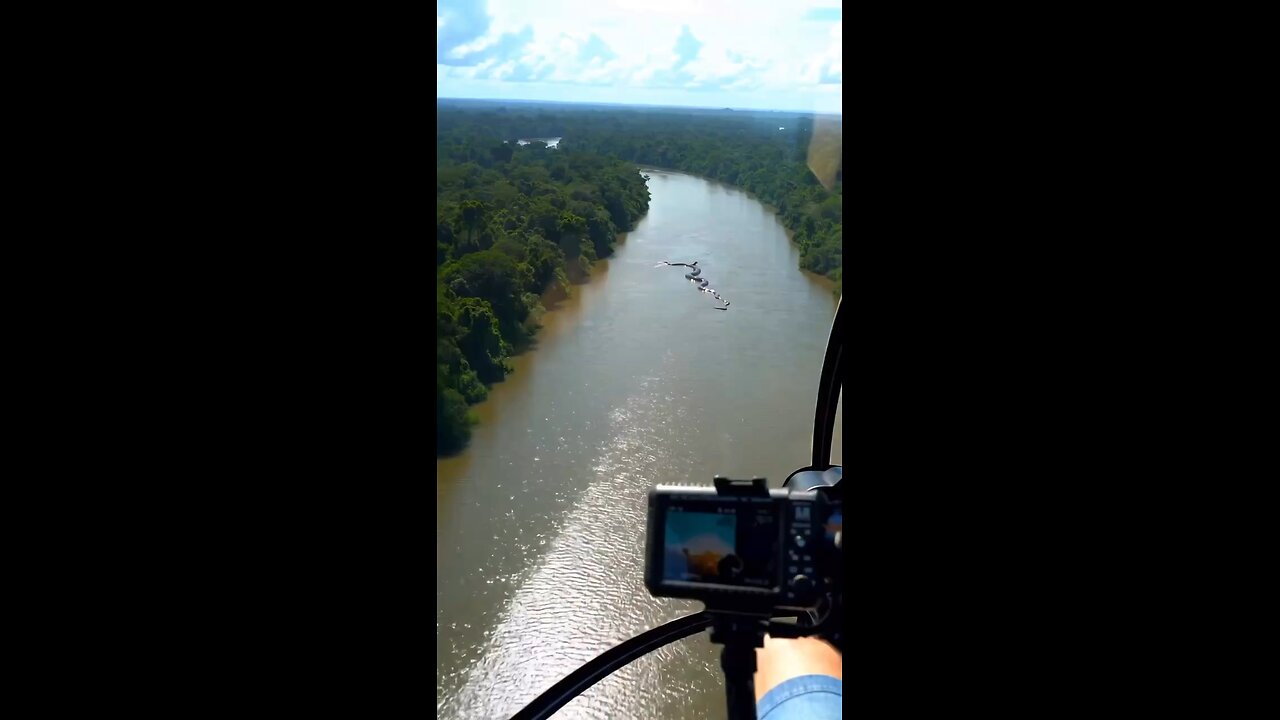 Giant anaconda spotted in river
