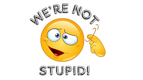 We're Not Stupid! (The Epstein Files Edition)