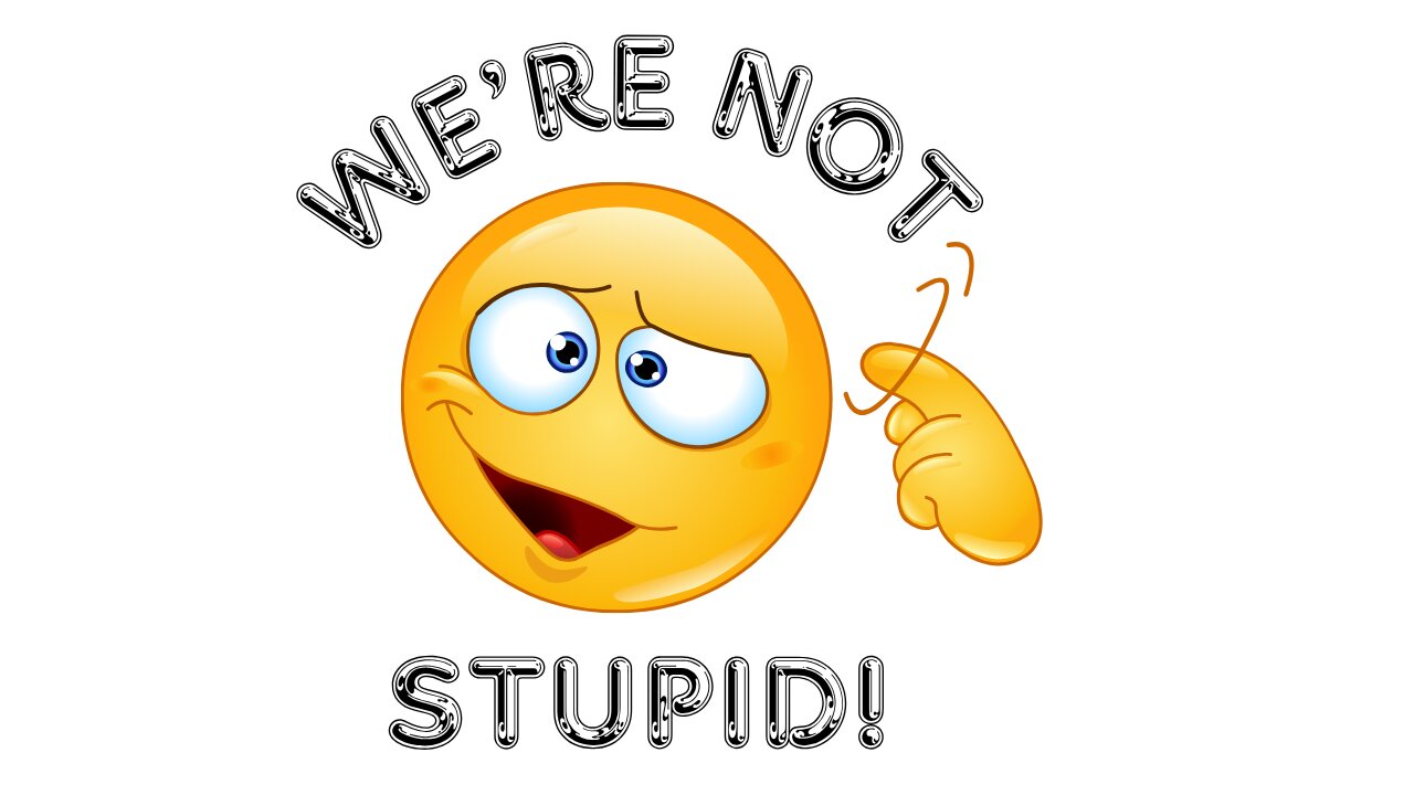 We're Not Stupid! (The Epstein Files Edition)