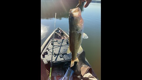 BT Brown - 2 bass, 3 for the day! Fish ON!