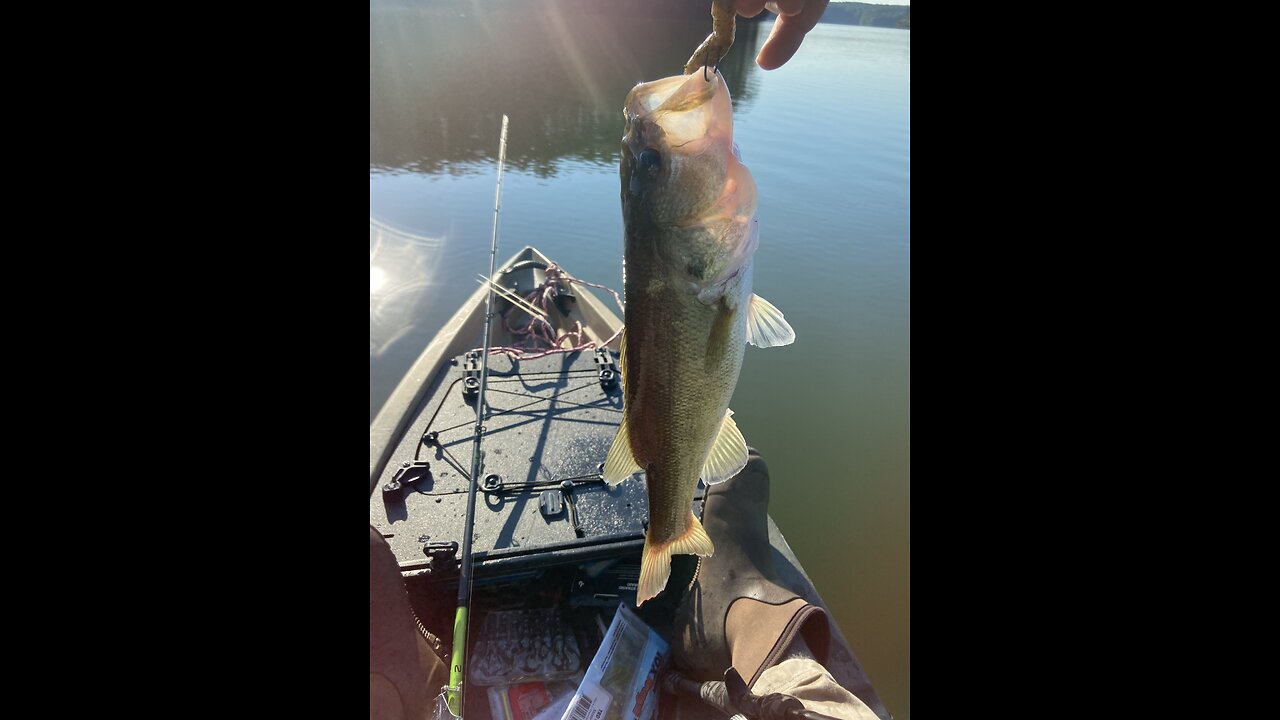 BT Brown - 2 bass, 3 for the day! Fish ON!