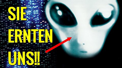 Außerirdische Graue Aliens von Zeta Retikuli ernten uns weil wir Seelenbehälter für sie sind