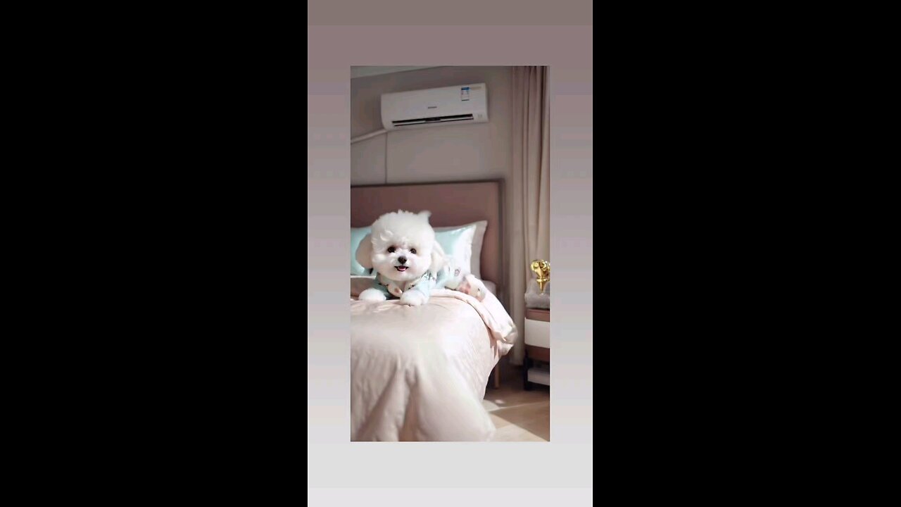 लवली विडिओ