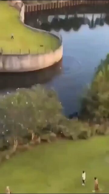 A man with a knife was seen stabbing people in the popular Cascades Park