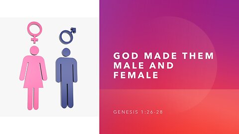 God Made Them Male And Female