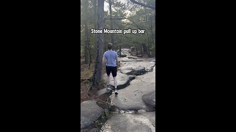 Nature pull up bar