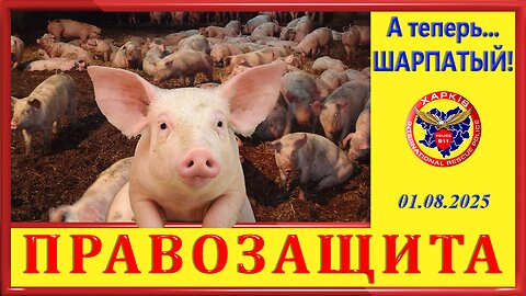 911- А теперь...ШАРПАТЫЙ