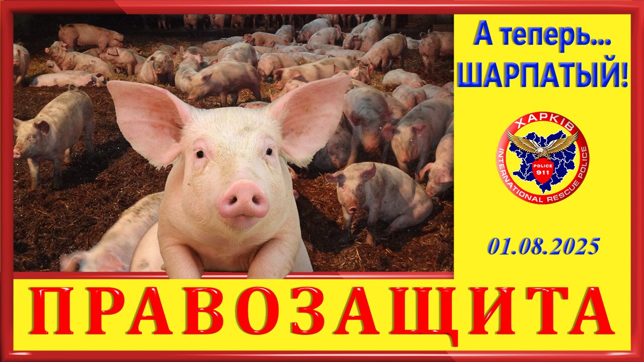 911- А теперь...ШАРПАТЫЙ