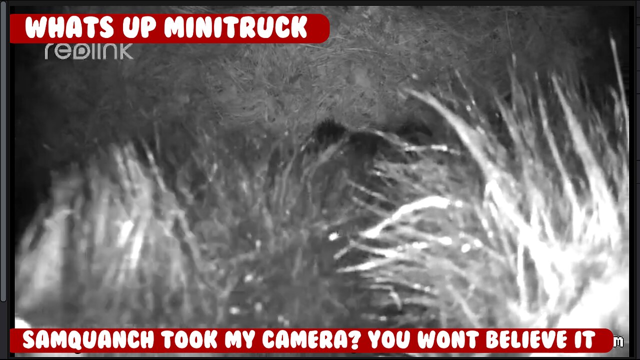 Mini-Truck (SE8 EP8) Bigfoot took my Game camera? You will not believe what I found. And other stuff
