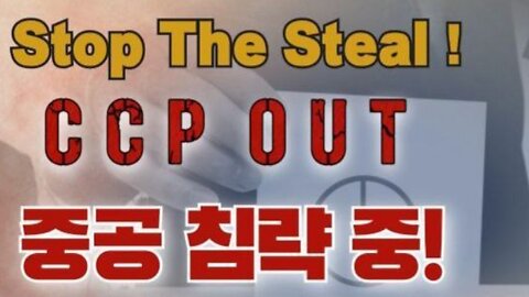 #FreedomRally#FraudSKoreanElection#RestorePresParkGeunHye#CCPout#NeverCommunism