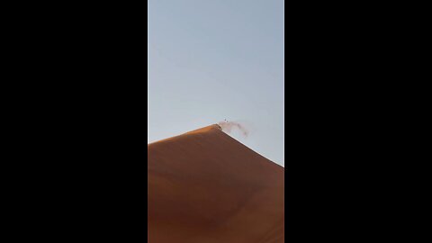 Dubai safari