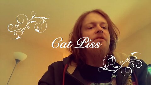 Cat Piss - The Official Music Video