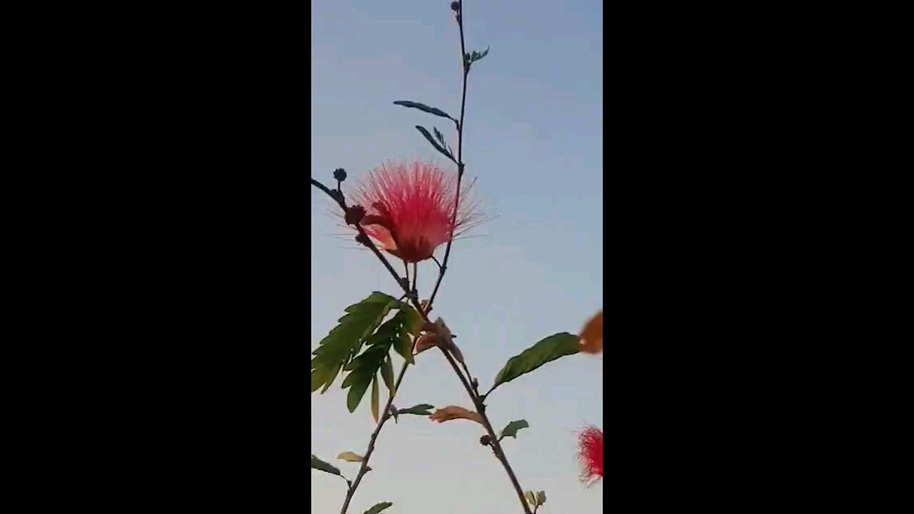 सुन्दर
