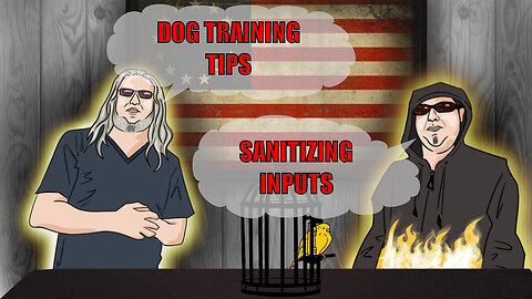 The Canary in the Cage Episode 61 - Dog Training Tips, Sanitizing Inputs