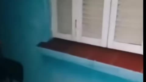 😨👻 Skinwalker Sighting - Is This a Real Paranormal Encounter? | TheHauntingHour