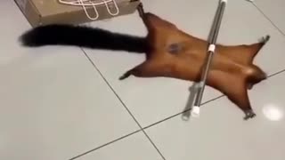 😂💀 And the Oscar for Best Death Scene goes to... | FunFM