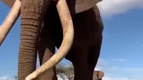 Power of transformation